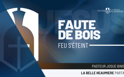 Faute de bois, le feu s’éteint